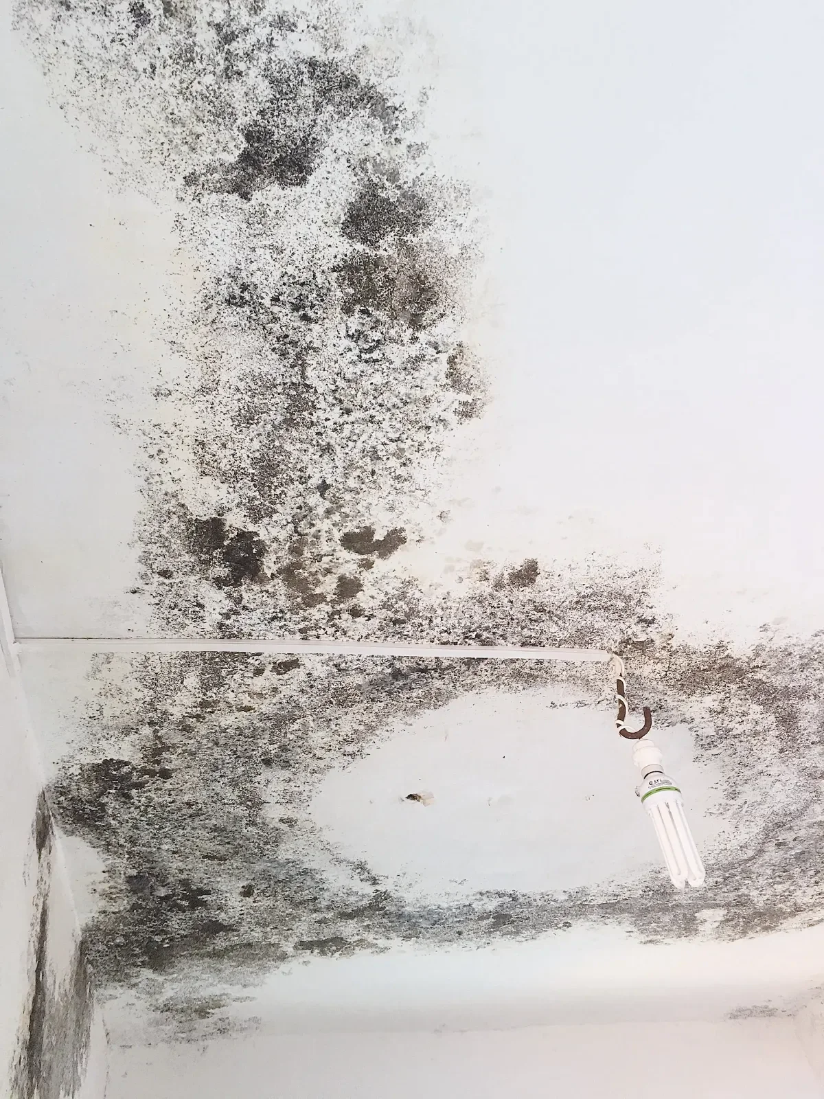 Moldy ceiling