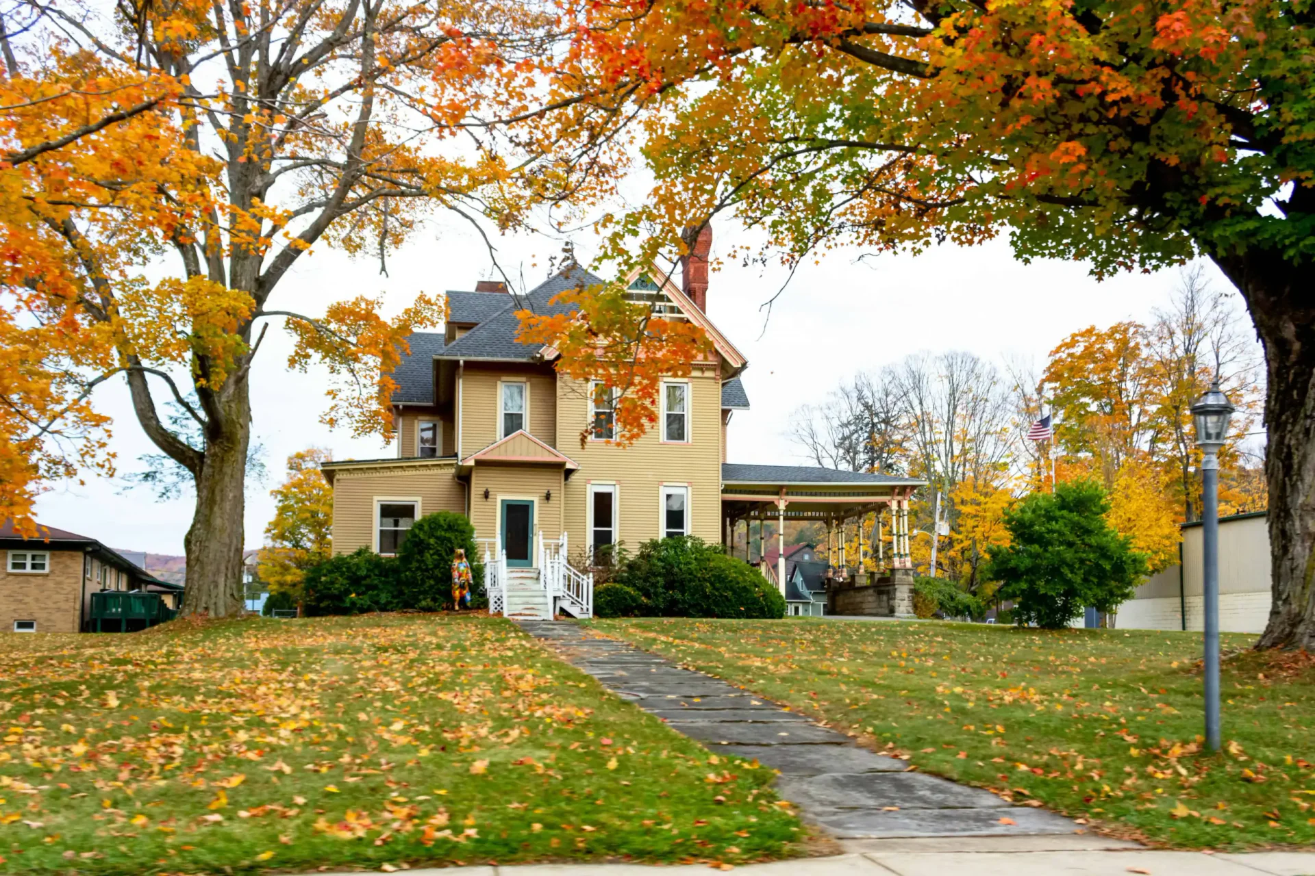 Fall lawn care — tidy yard with autumn leaves and green grass