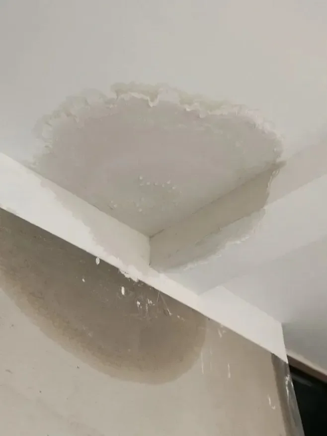 Water Stains on Walls, Ceilings