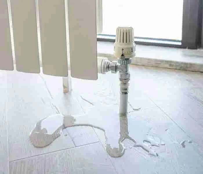 costly water damage