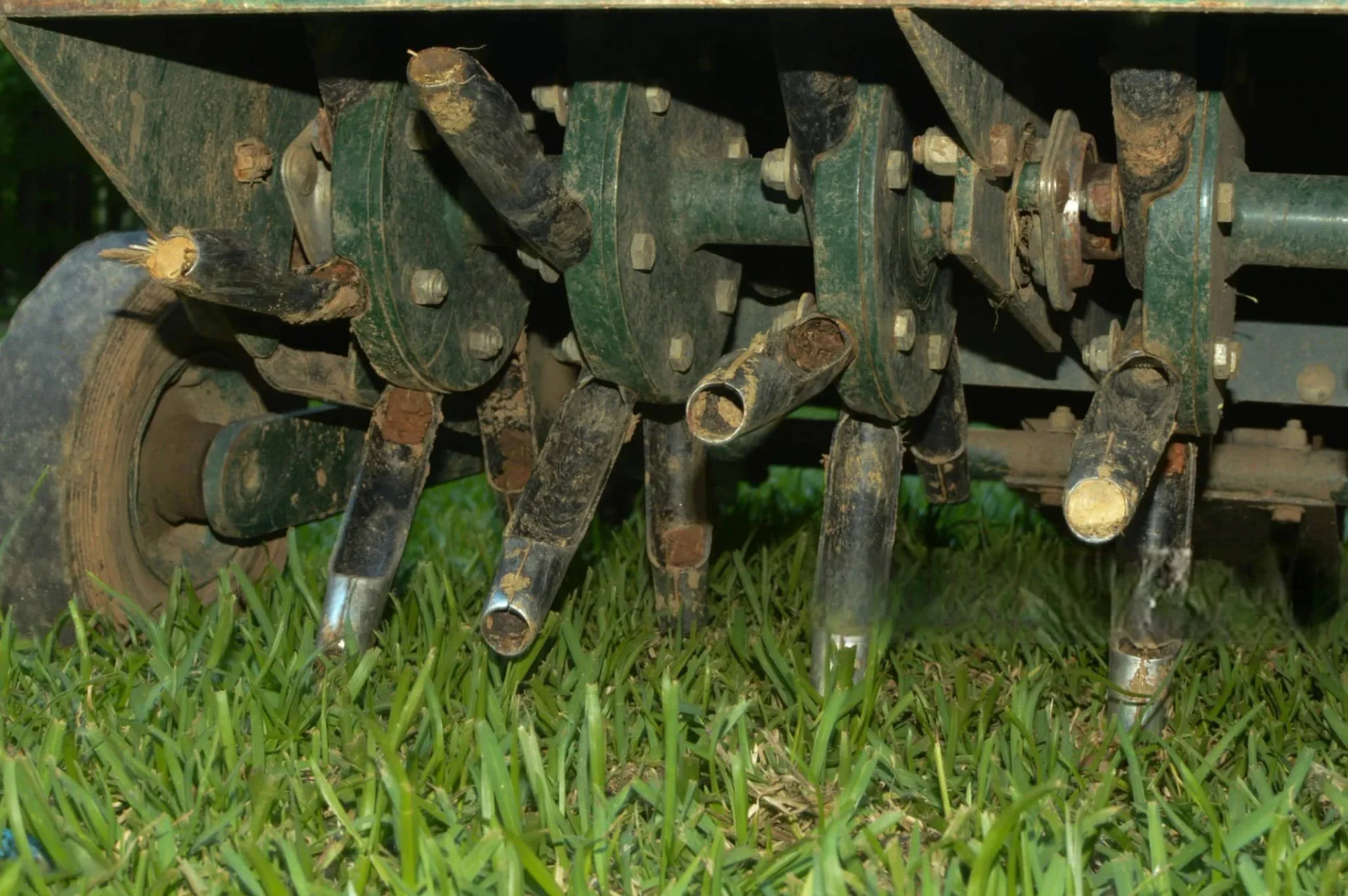 Core aeration in fall lawn care — aerator machine creating soil plugs
