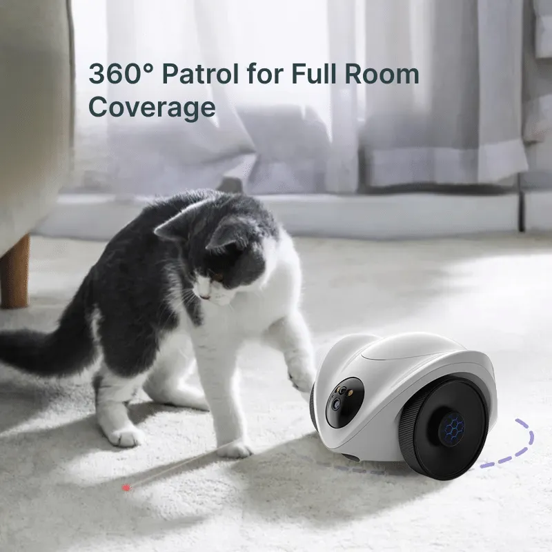 CamNet-R1 rolling camera feature visual