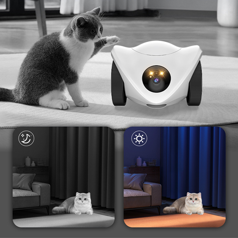 CamNet-R1 rolling camera feature visual