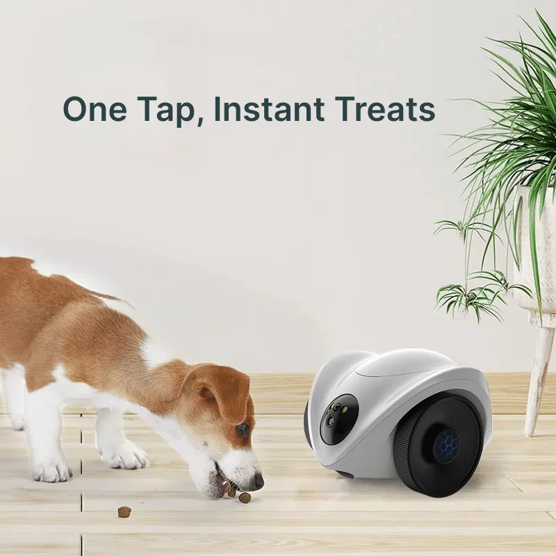 CamNet-R1 rolling camera feature visual