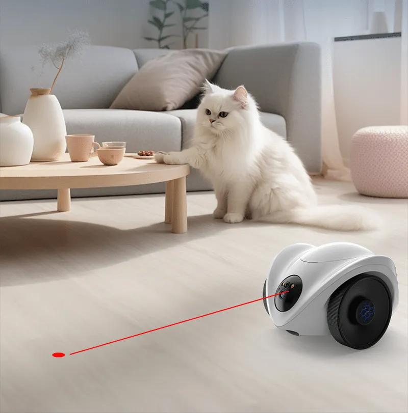 CamNet-R1 rolling camera feature visual
