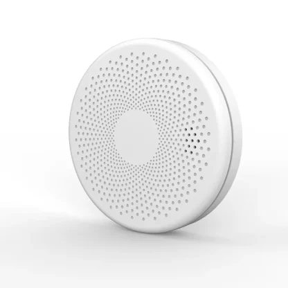 CO Detector and Smoke Detector 2 in 1