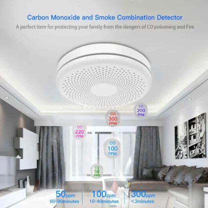 Carbon Monoxide and Smoke Combination Detector