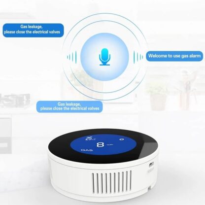 Smart Gas Leakage Detector accurate voice prompt