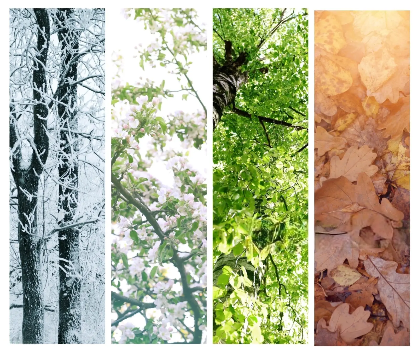 My Electric Bill Doubled in One Month: What Could Be Going On? 1 4 season -