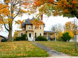 Fall lawn care — tidy yard with autumn leaves and green grass