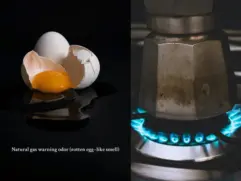Why does my house smell like rotten eggs? Illustration explaining the rotten egg–like odor added to natural gas as a safety warning system