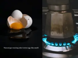 Why does my house smell like rotten eggs? Illustration explaining the rotten egg–like odor added to natural gas as a safety warning system