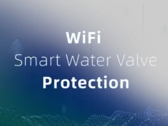 WiFi Smart Water Valve Protection
