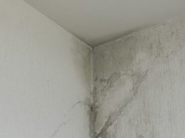 water leakage caused mold stains on the walls -